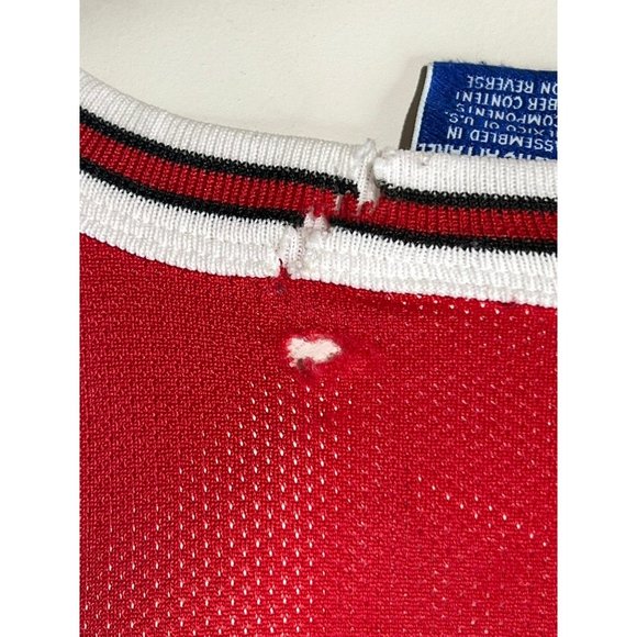 Scottie Pippen Champion Bulls Jersey Sz 48 - Picture 3 of 4